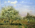 orchard in blossom louveciennes 1872 Camille Pissarro scenery